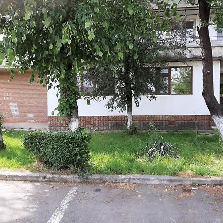 Kriss Apartment Luxury Targu Jiu Exterior photo